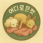 어디로든펫