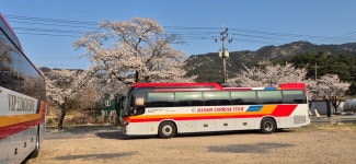 북부하나여행사