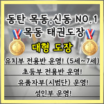 KTIGERS 목동태권도