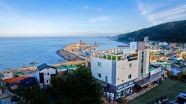 더원애견동반펜션