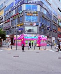 캑티 가챠샵 발산점