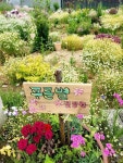 푸른별유치원