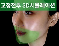 더미소치과교정과치과의원