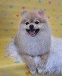 제주멍
