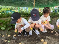 라온수피아유치원