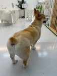 뽀르몽