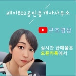 레이공인중개사사무소