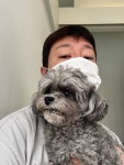 러브시티독