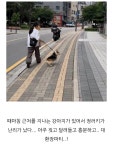 프래들 애견학교