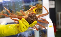 원조대게후포리 2호점