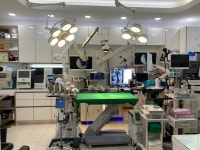 세종동물의료센터