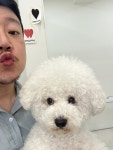 러브시티독