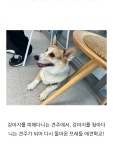 프래들 애견학교