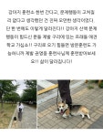 프래들 애견학교
