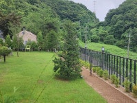 포리하우스 애견펜션