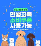 유앤미펫 강아지분양 고양이분양 시흥점