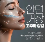 로마의휴일