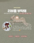 도그185 애견미용실