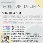 몽이네펫택시