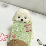 두즈파크 강아지케이크 강아지수제간식