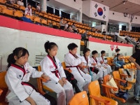 한국체대태권도