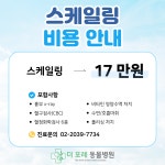 더포레동물병원