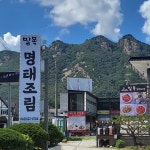 밀목