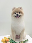 마댕