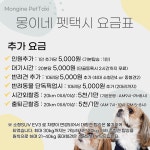 몽이네펫택시