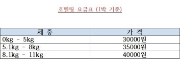부티나개