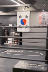 팀와이에프 복싱 & 레슬링