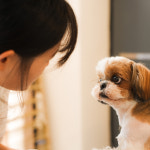 꽃개 애견미용 강아지미용