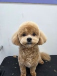 오순독순