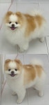 라온펫 애견미용실