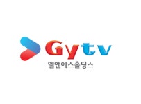 엘앤에스홀딩스