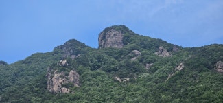 오월의 발코니