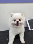 오순독순