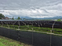 금산황금공인중개사사무소