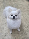 오순독순