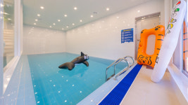 디하우스 풀빌라 펜션