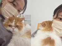 고양이미용실 그냥