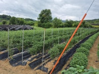 금산황금공인중개사사무소