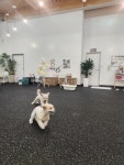아지스테이션