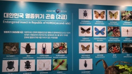 기똥찬체험 곤충정원농장