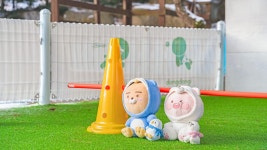 포천 럭스제이 애견펜션