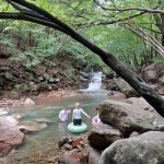 꽃사슴산장