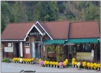 숲쟁이협동조합 미스황카페