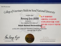 Dr.주 동물병원