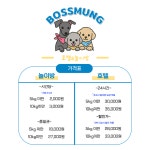 보스멍 애견카페