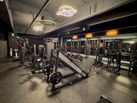 투프로짐플러스